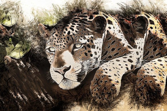 Animal Graphics #27: Elevate Your Visuals Instantly
